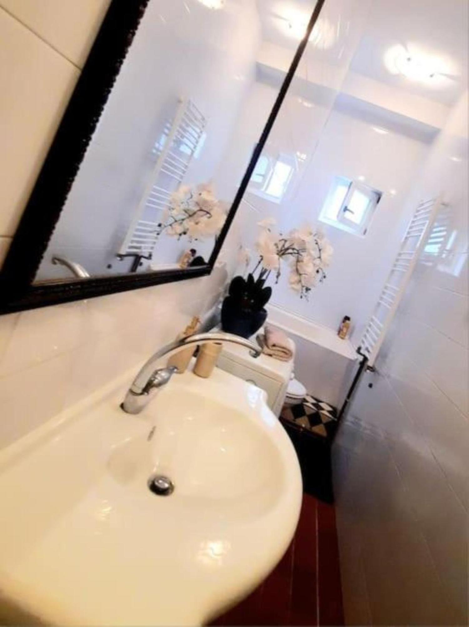 Timisoara Central 2 Bedroom Hotel Serviced Belle Vue Apart By The Park Kültér fotó